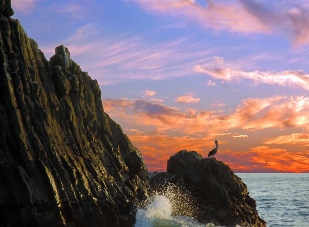 Crystal Cove State Park — Laguna Beach, California | Southern California