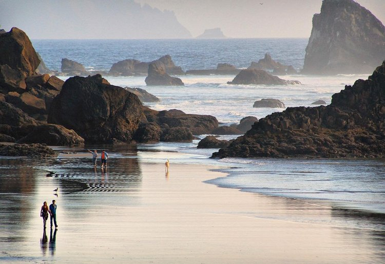 Ecola State Park — Cannon Beach, Oregon | Pacific Northwest